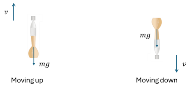 phy_dart_02.png