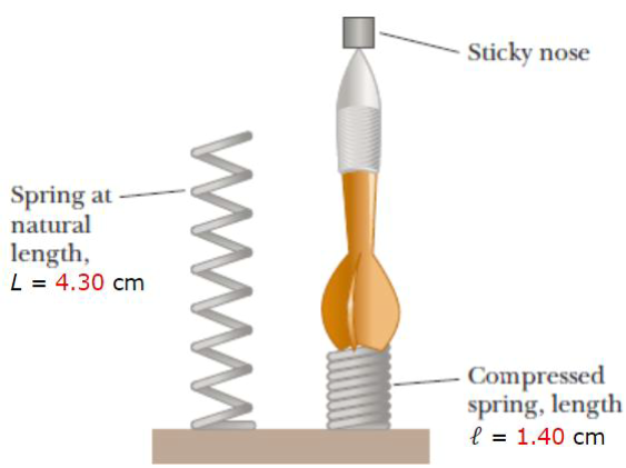 py_dart_01.png